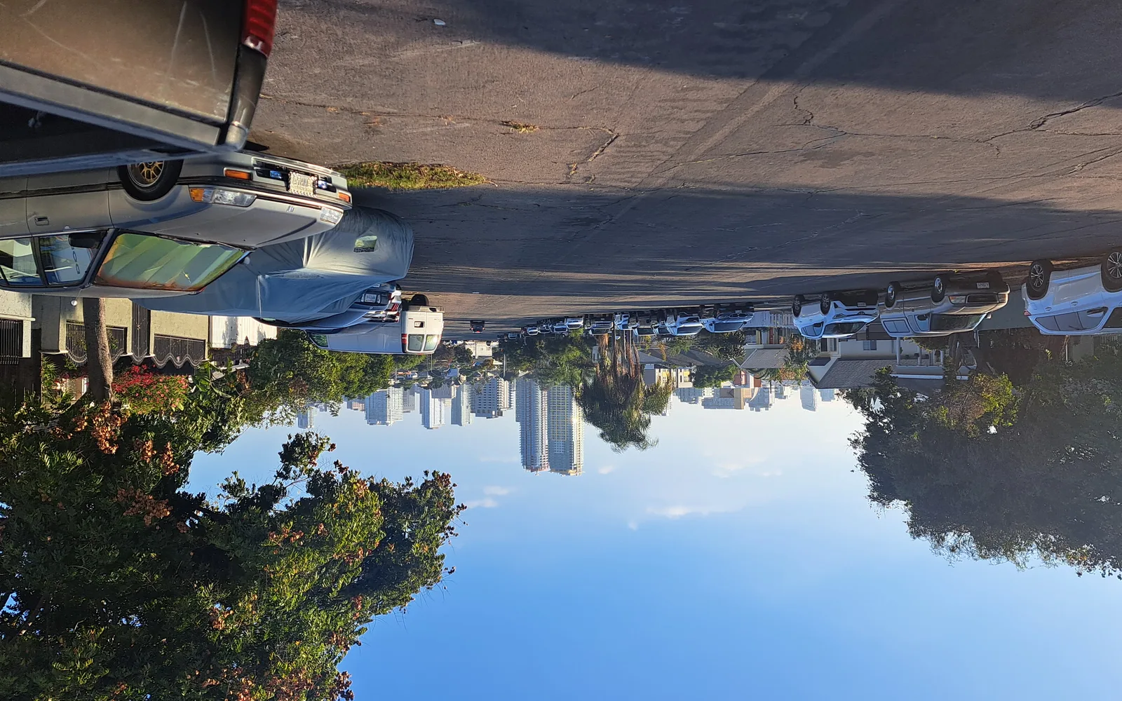 A quiet residential street in San Diego showing neighborhood character with trees and homes